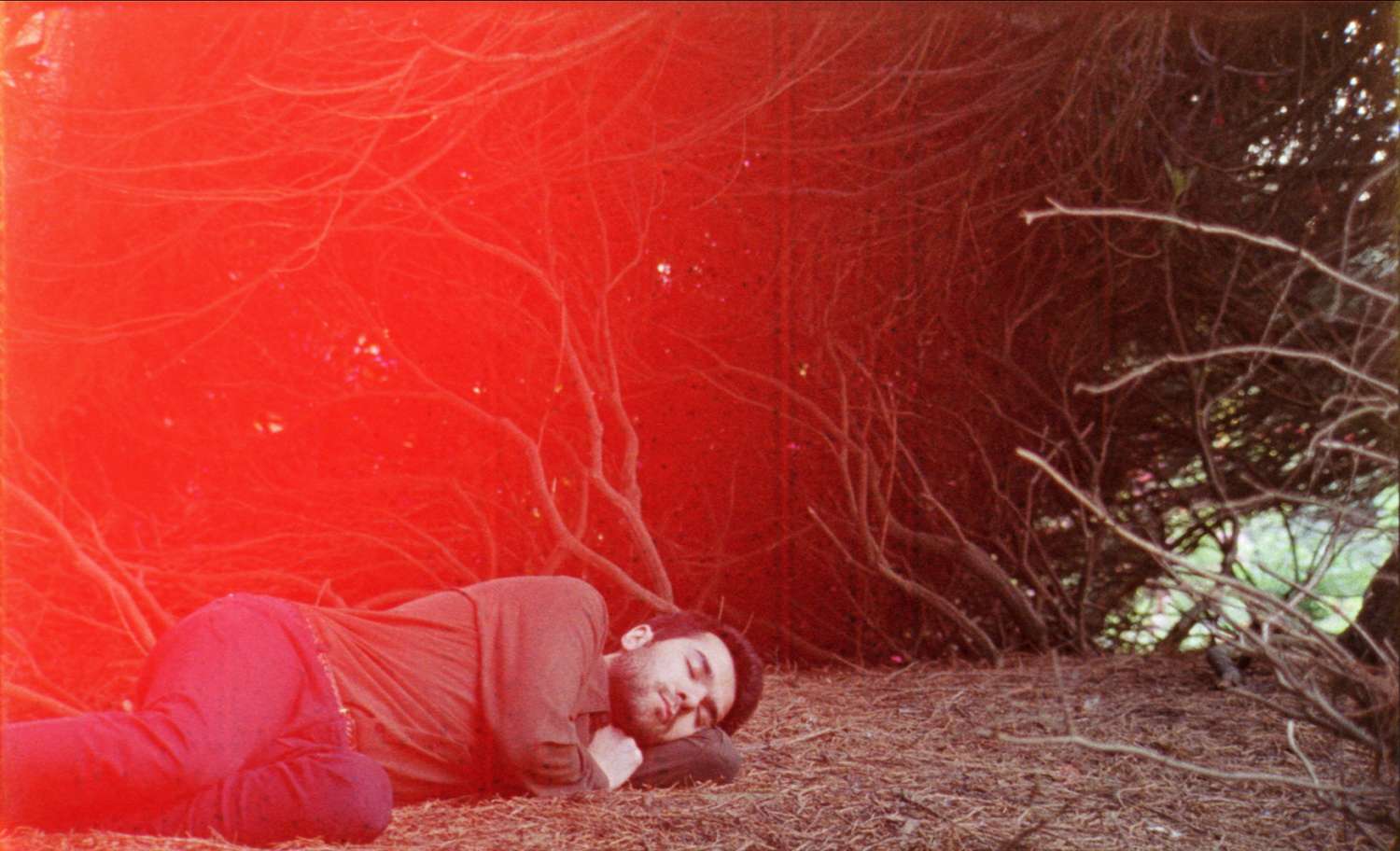 A Thousand Waves Away (Helena Wittmann, Alemania, 2025)
