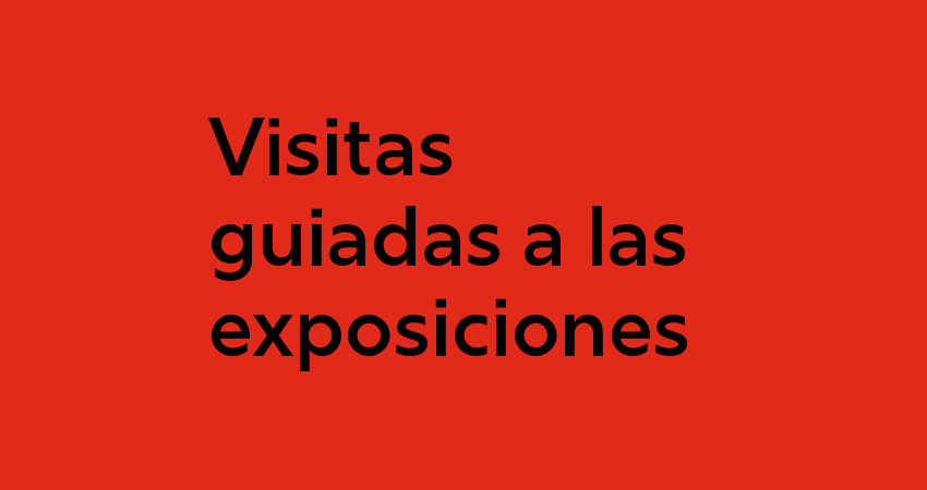 visitas guiadas