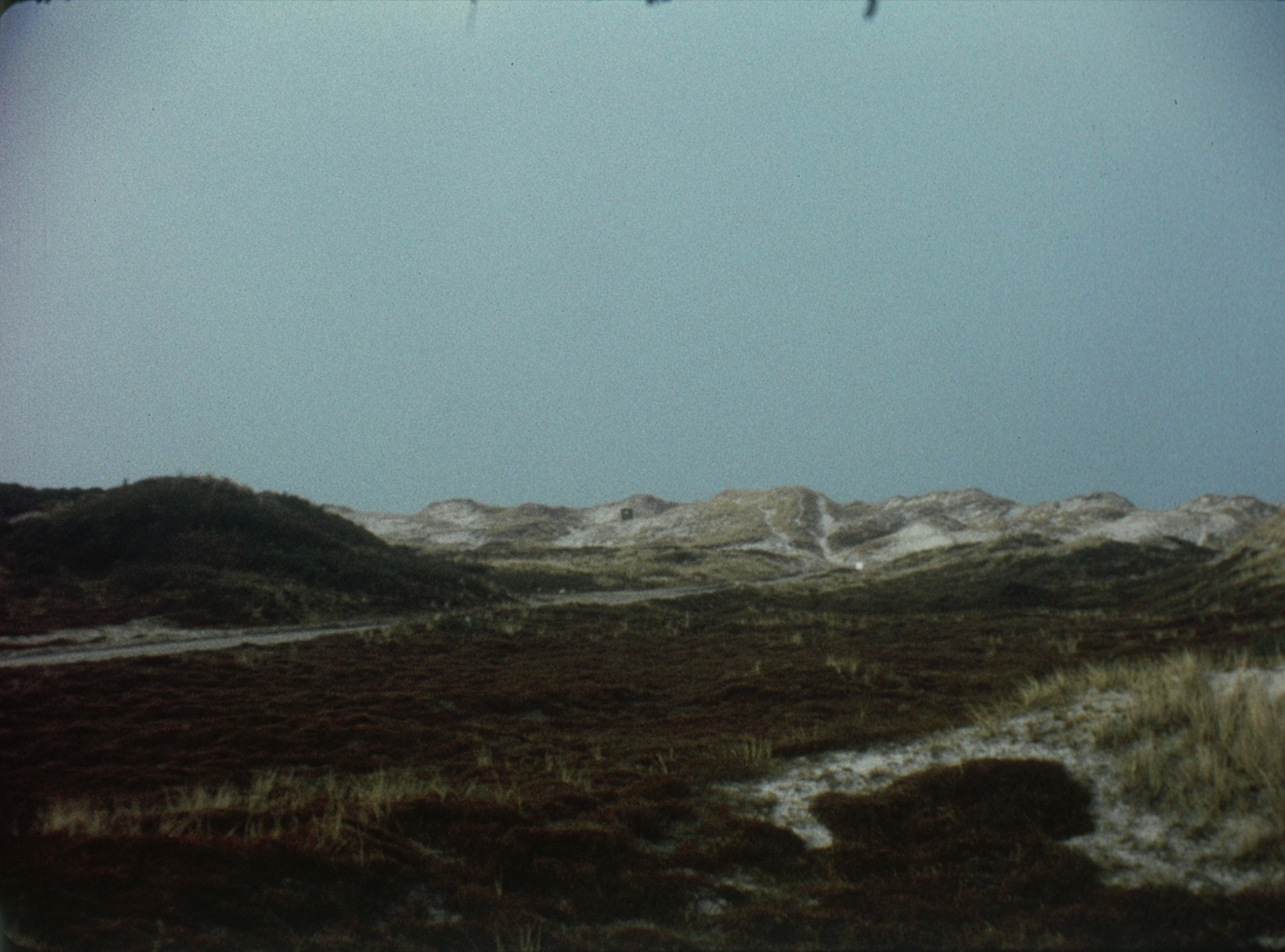 Schenec-Tady II