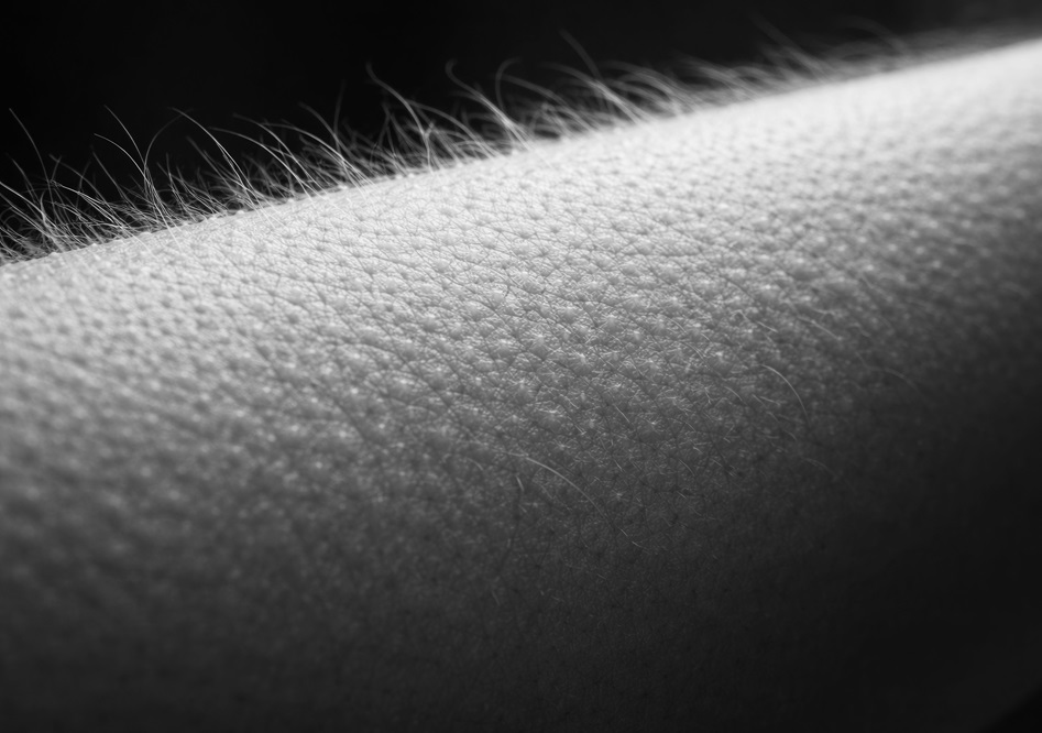 &laquo;Amor, sexo y todo lo dem&aacute;s&raquo;
