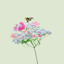 250601TallerdeDibujo_260