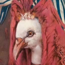 251108_ViejaLoca_260x260