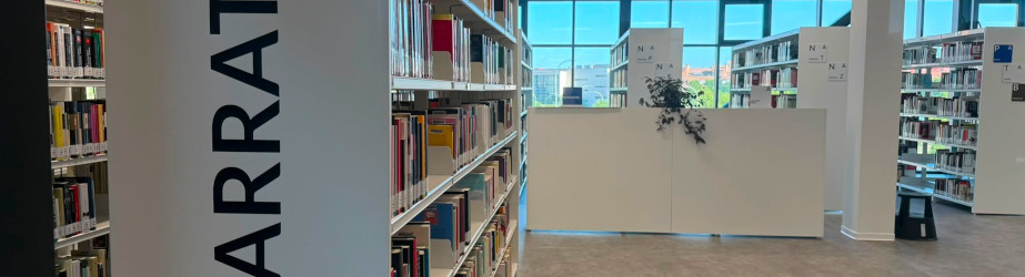 Mostrador de la Biblioteca Benjam&iacute;n Palencia