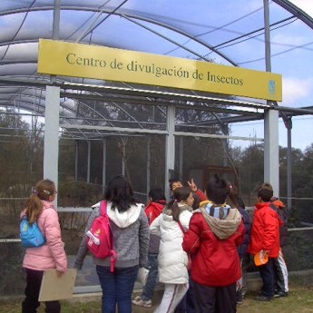 Centro de insectos