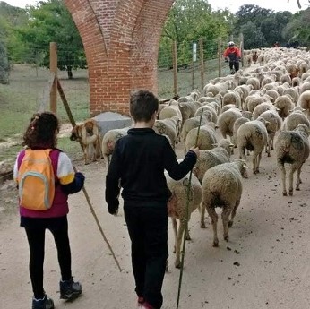 Pastores por un día