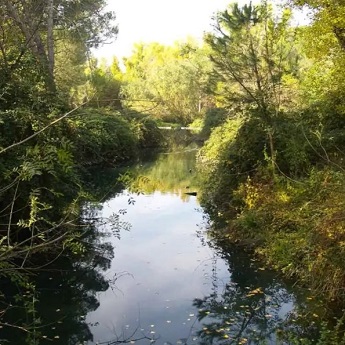 Humedales de la Casa de Campo