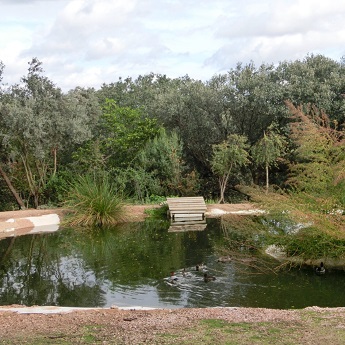 Senderismo al Centro de Avifauna