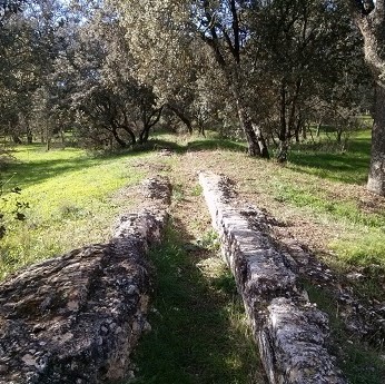 Puentes y caminos del agua