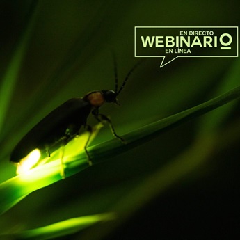 Imagen del webinario 'Artrópodos con luz propia'