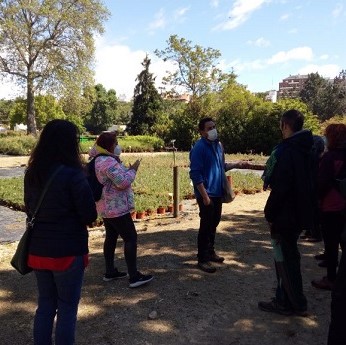 Árboles notables del Vivero