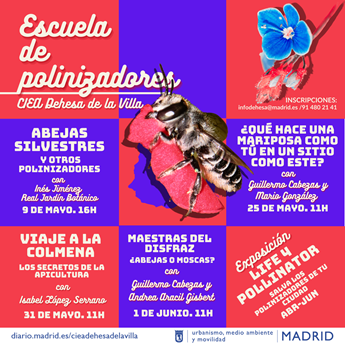 Imagen de la actividad Escuela de polinizadores