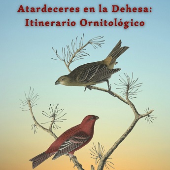 Atardeceres en La Dehesa: itinerario ornitológico