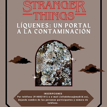 Stranger things: l&iacute;quenes, un portal a la contaminaci&oacute;n.
