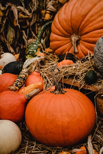 Fiesta de la Calabaza