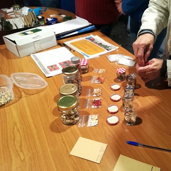 Imagen de intercambio de semillas en la Fiesta de la Calabaza