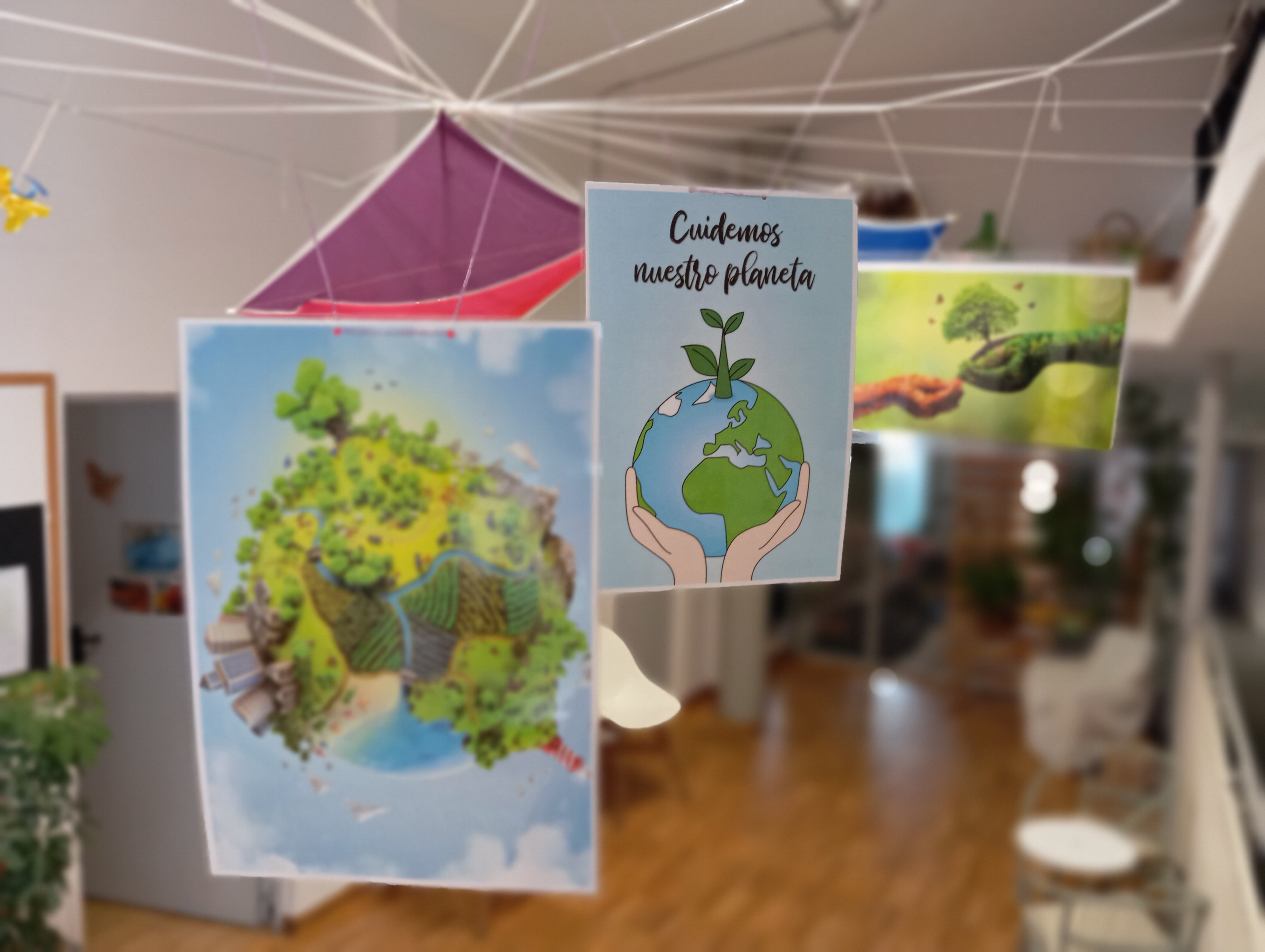 D&iacute;a medio ambiente