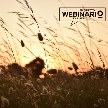 Imagen del Webinario El poder agroecol&oacute;gico de los pastizales