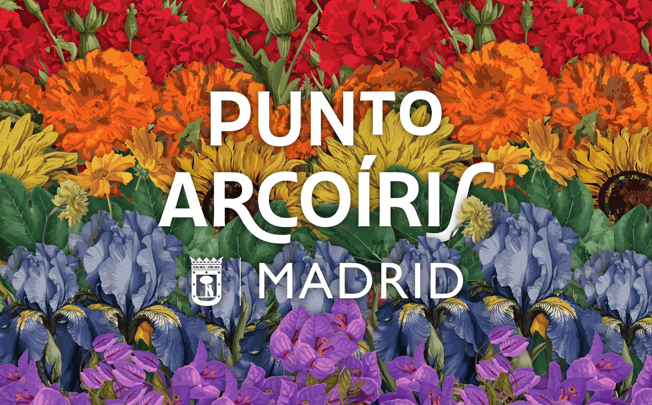 texto: punto arcoíris logo ayuntamiento con fondo con flores de colores